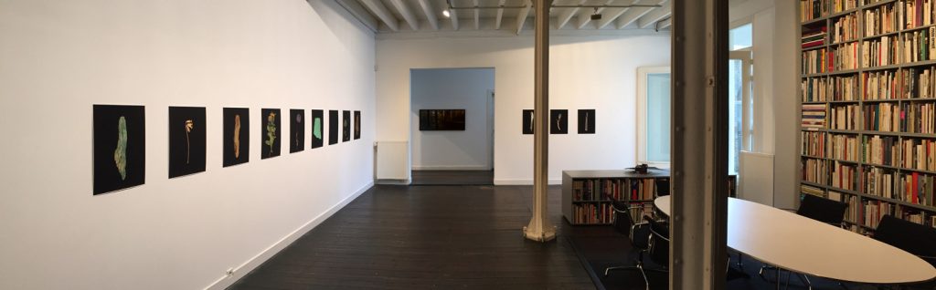 Hindenburgline Project exhibition at Galerie Nouvelles Images The Hague 2017